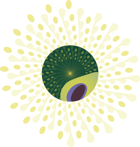 Illustration-Lux-Oil-Supply-Avocado