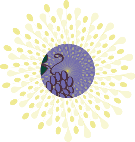 Illustration-Lux-Oil-Supply-Grape